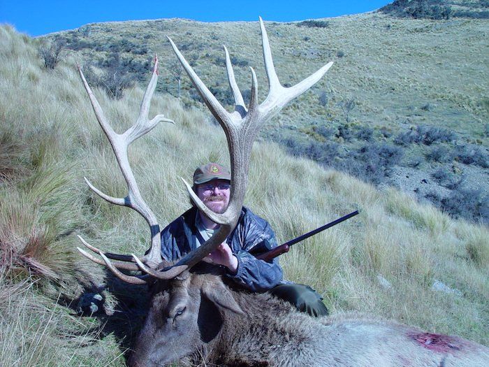 Elk Hunting | New Zealand | South Island | New Zealand Hunting Adventures