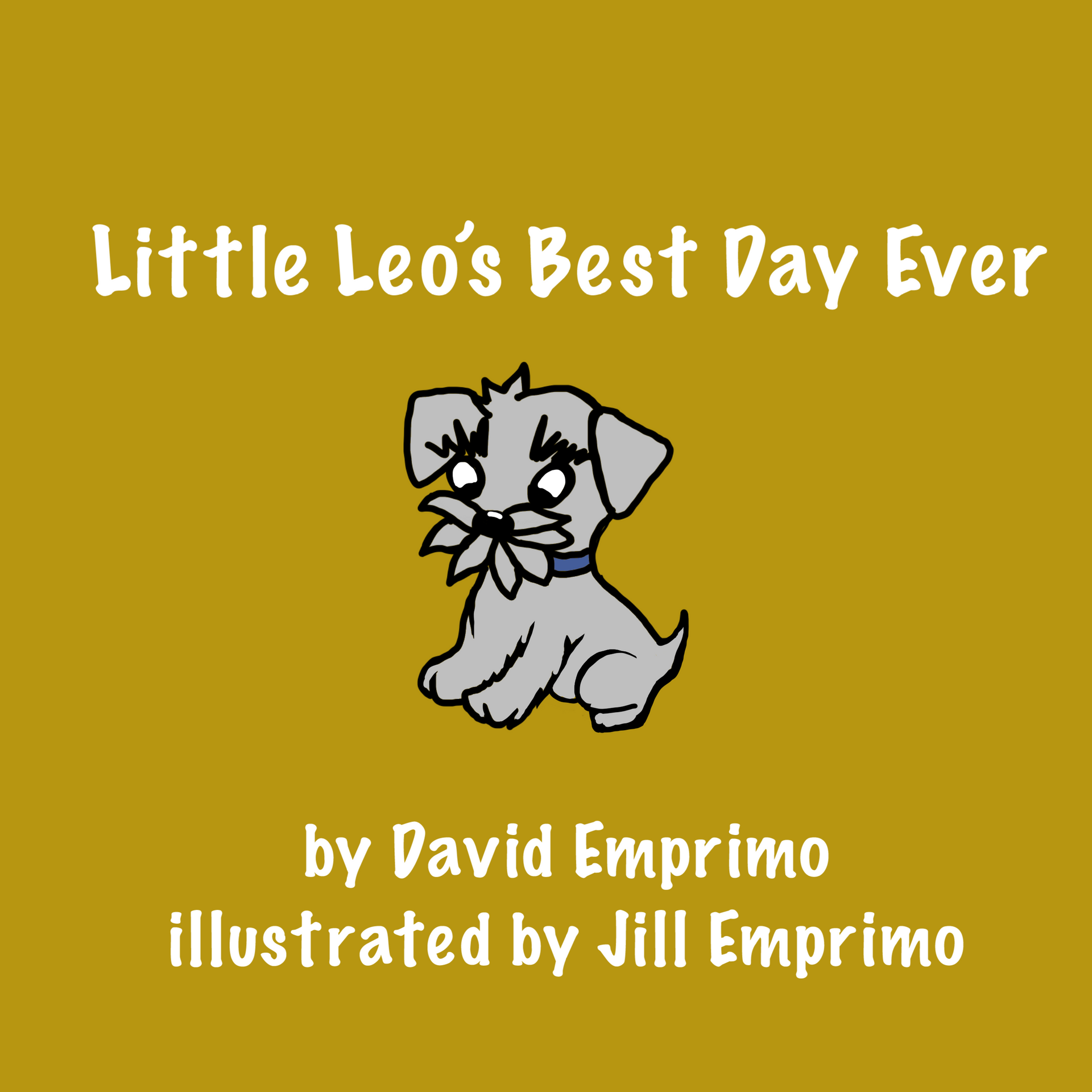 Little leo's best day ever by david emprimo illustrated by jill emprimo
