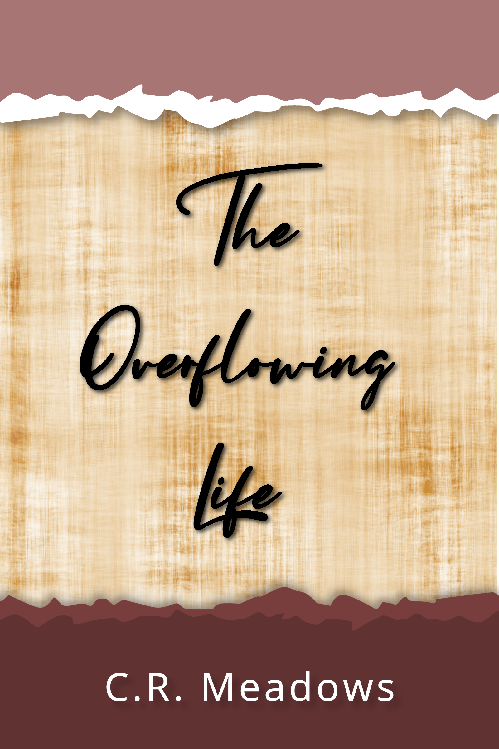 The Overflowing Life book cover