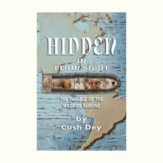 Hidden in Plain Sight by Cush Dey