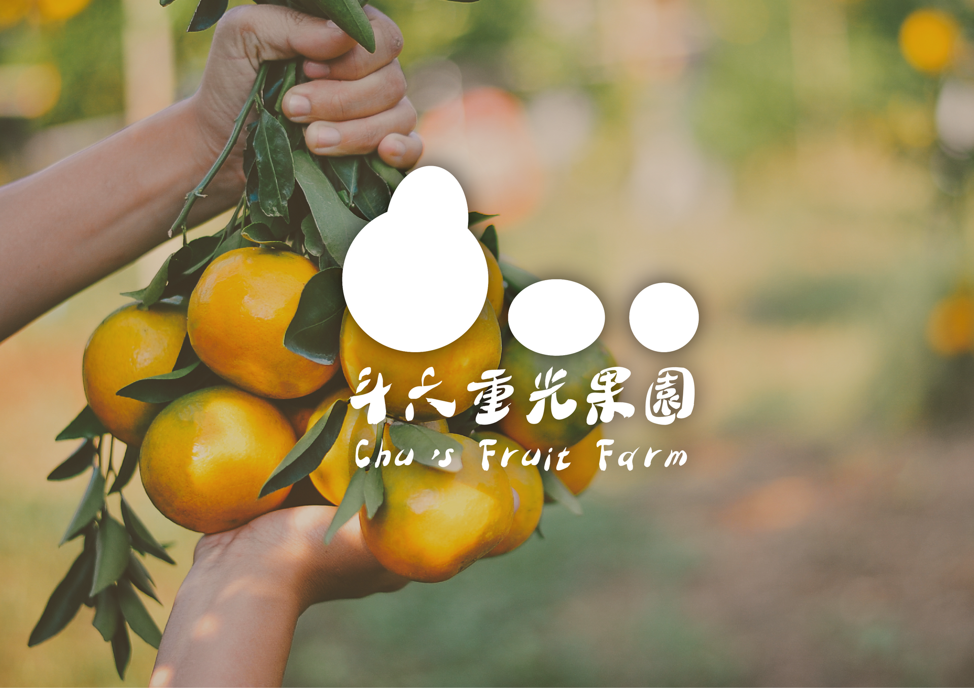 斗六重光果園，用傳承讓更多人品味老欉文旦柚。讓您在傳遞心意的同時，也分享這片土地的豐收與祝福。