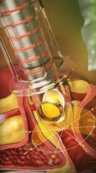 DRA. CRISTELA CRUZ CABRERA