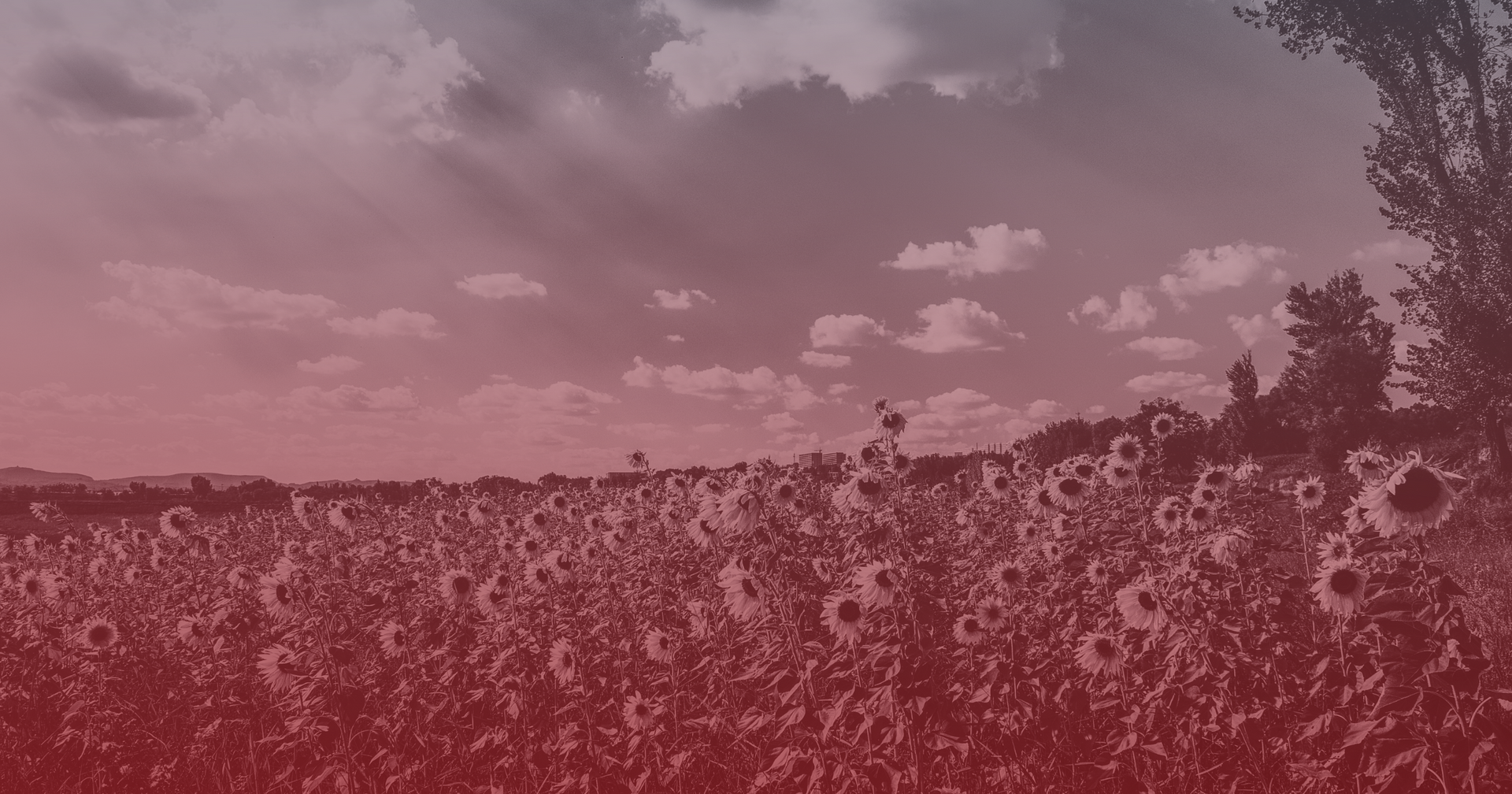 Summer well maintenance in Kansas with Flint Hills Windmill & Well Pump Service