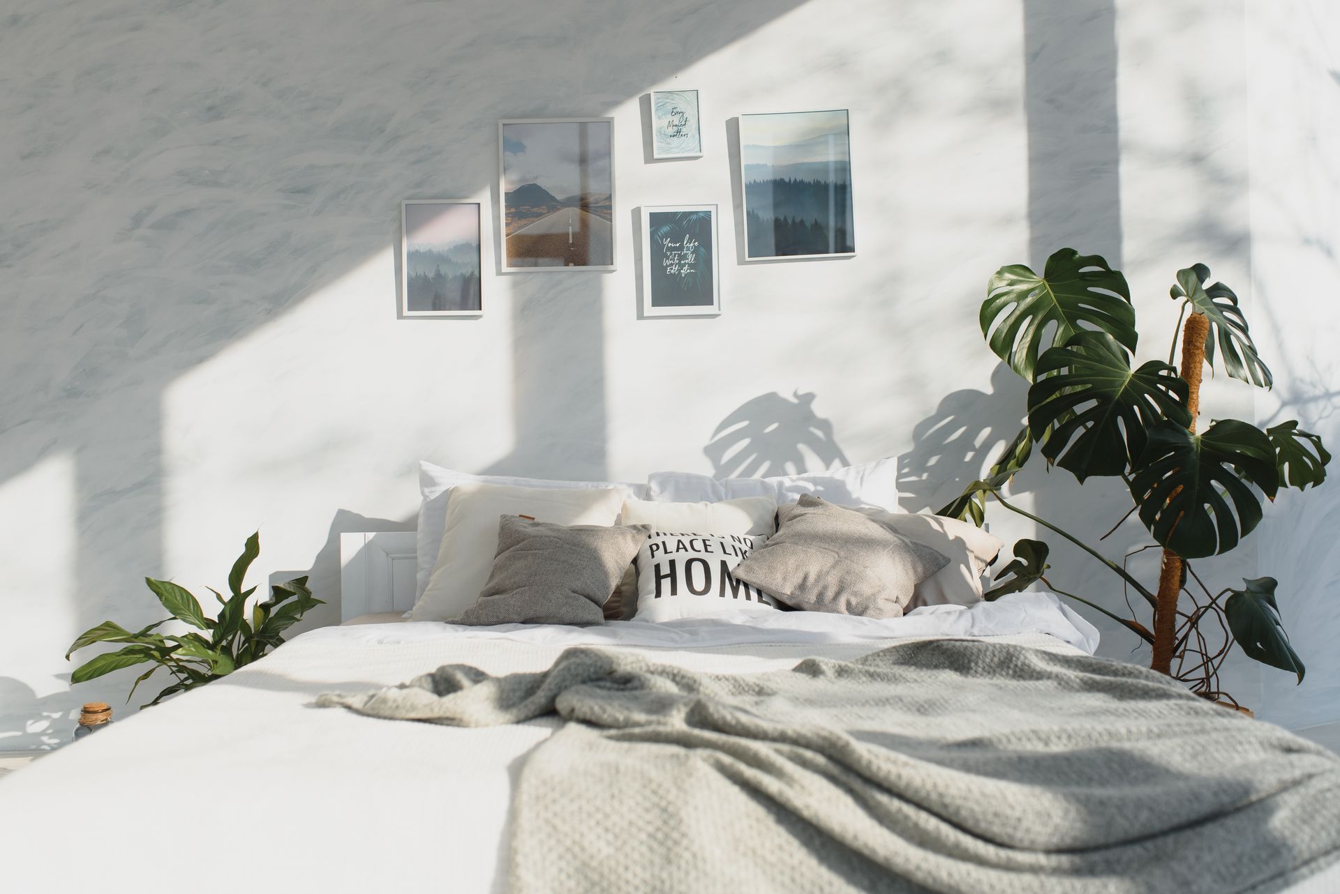 Bedroom with white walls, bed, gray blanket, pillows, framed art, and green plants. Sunlight and shadows.