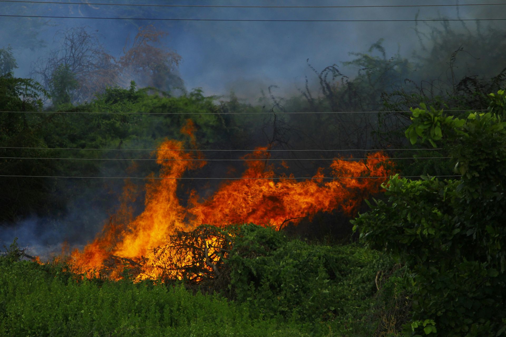 Fire burning in grassy vegetation near a road, with smoke rising into the air.