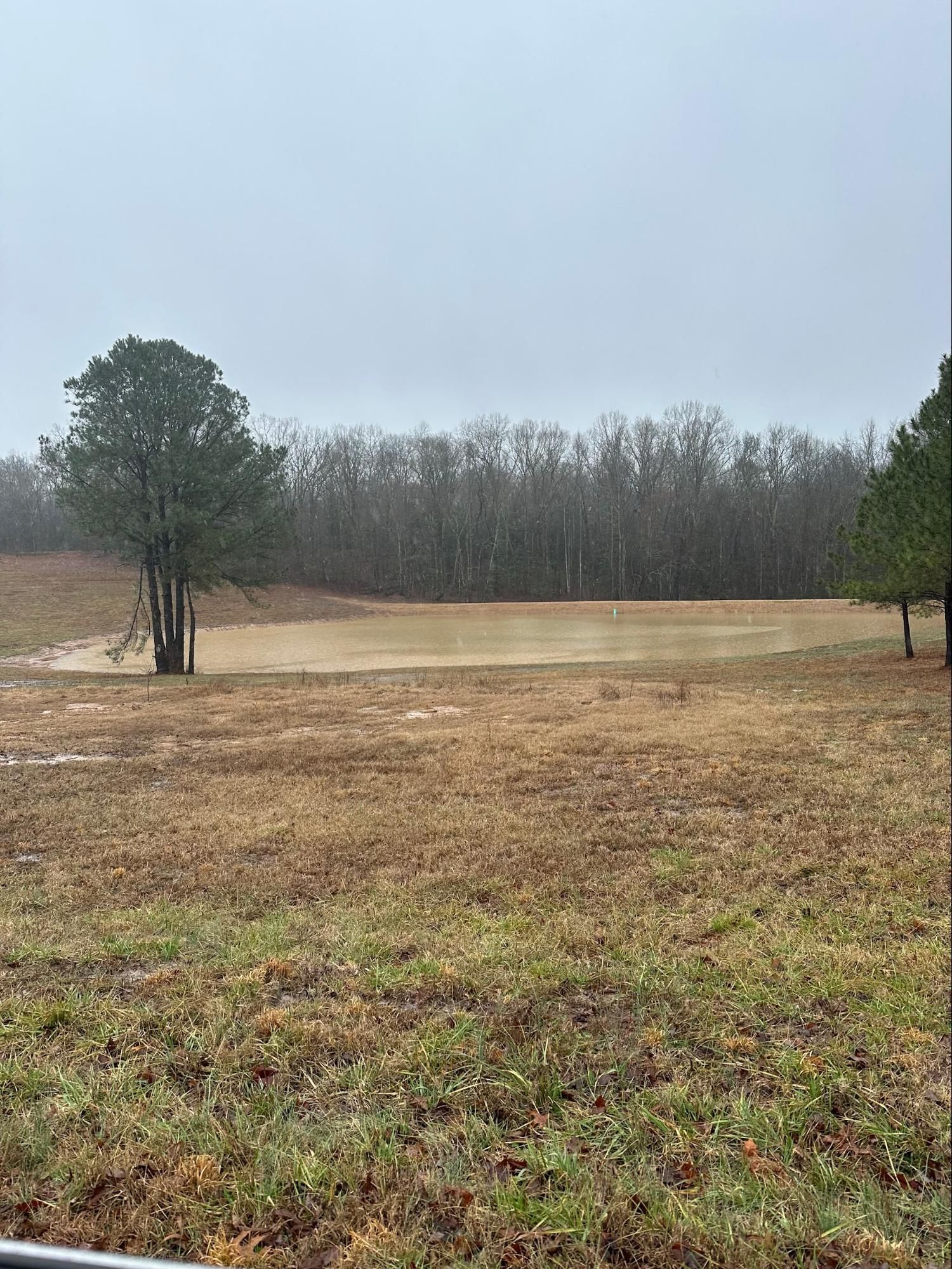A field of dry grass with trees in the background on a cloudy day.