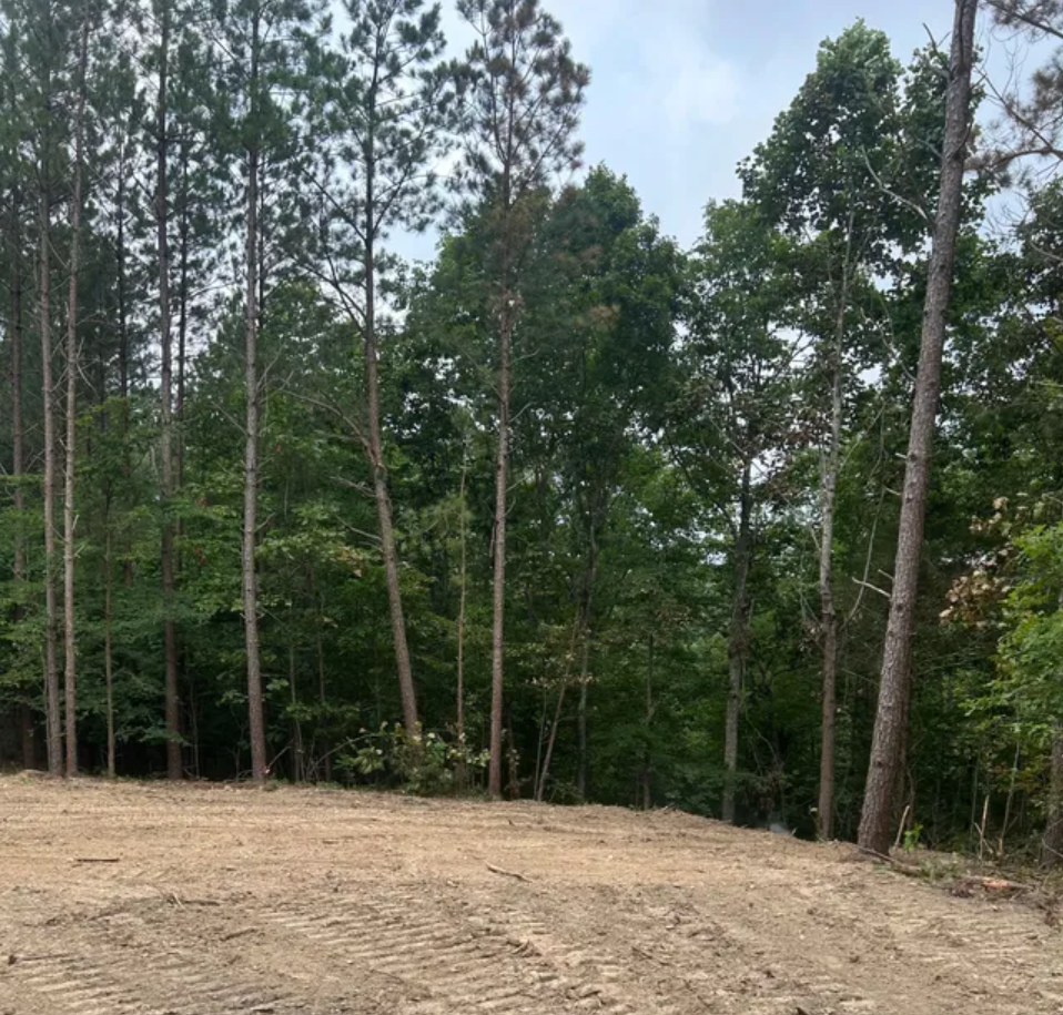 A dirt field with trees in the background.