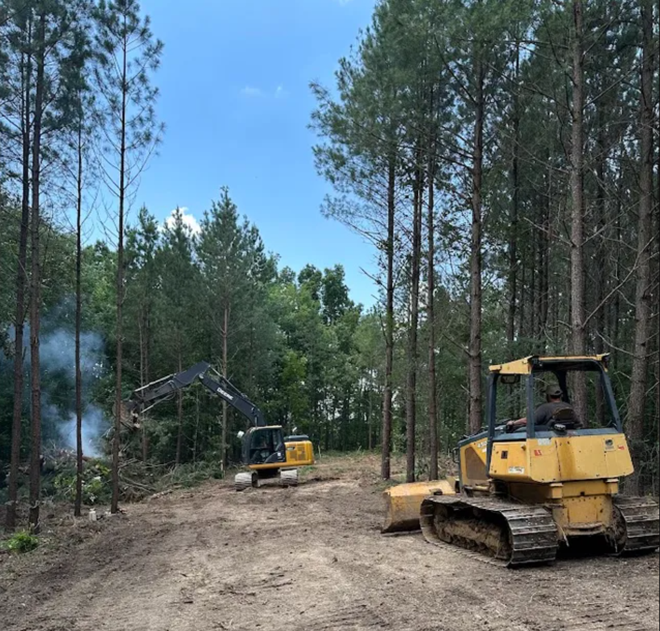 A couple of bulldozers are sitting in the middle of a forest.
