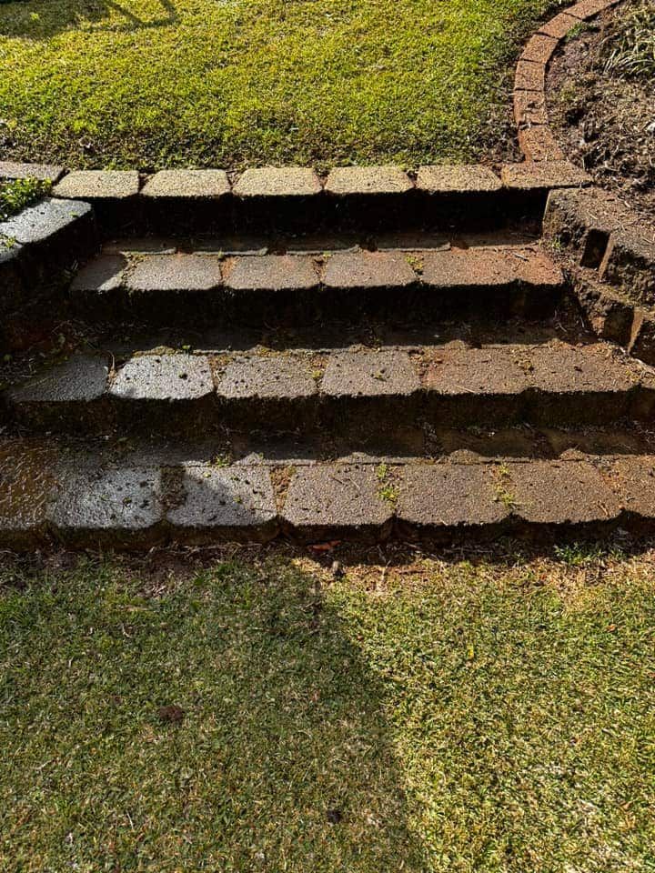 A Set of Stone Steps Leading Up to a Grassy Area — Lighthouse pressure washing in Port Macquarie, NSW