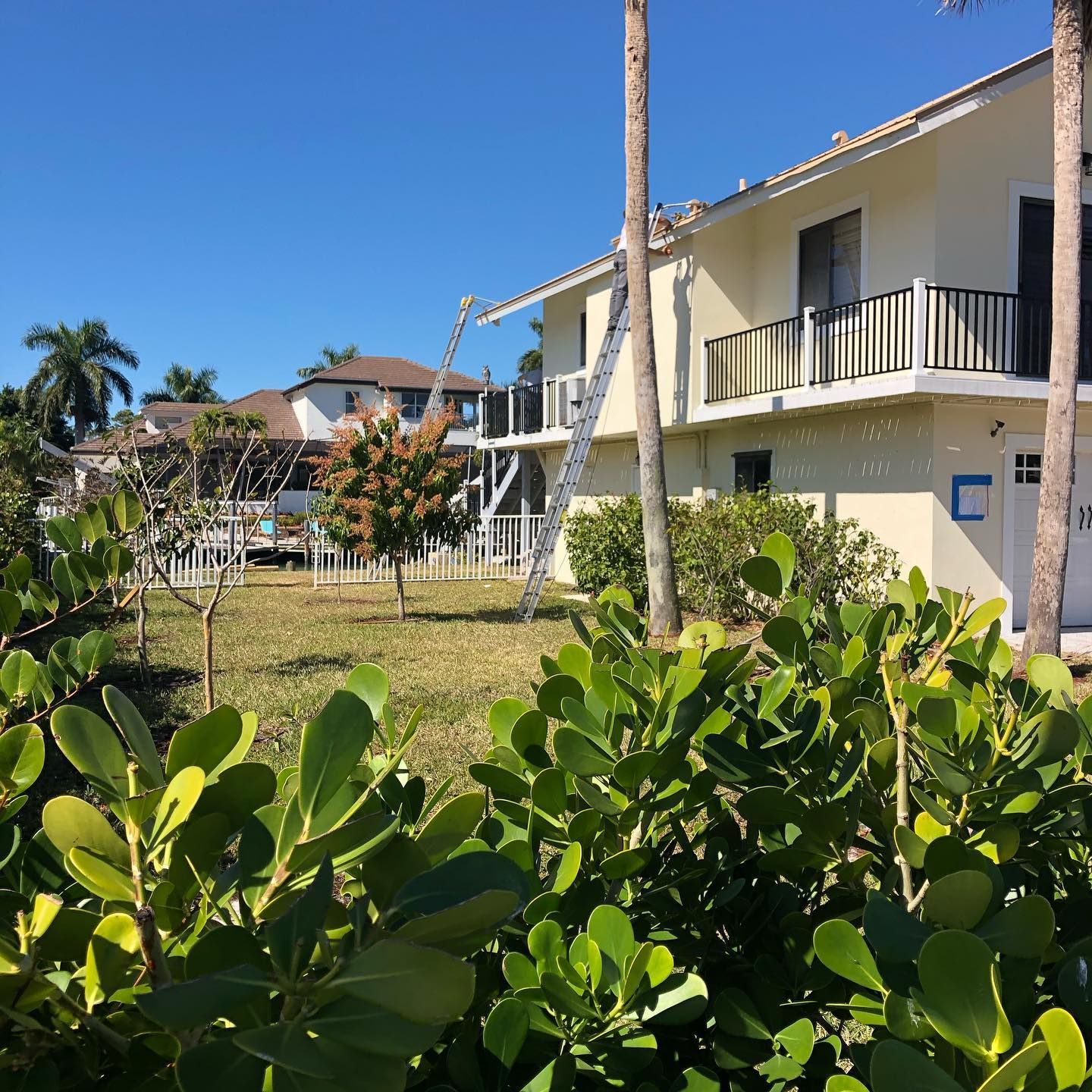 Lush green foliage in front of a light yellow two-story house with a black balcony. Palm trees and blue sky.