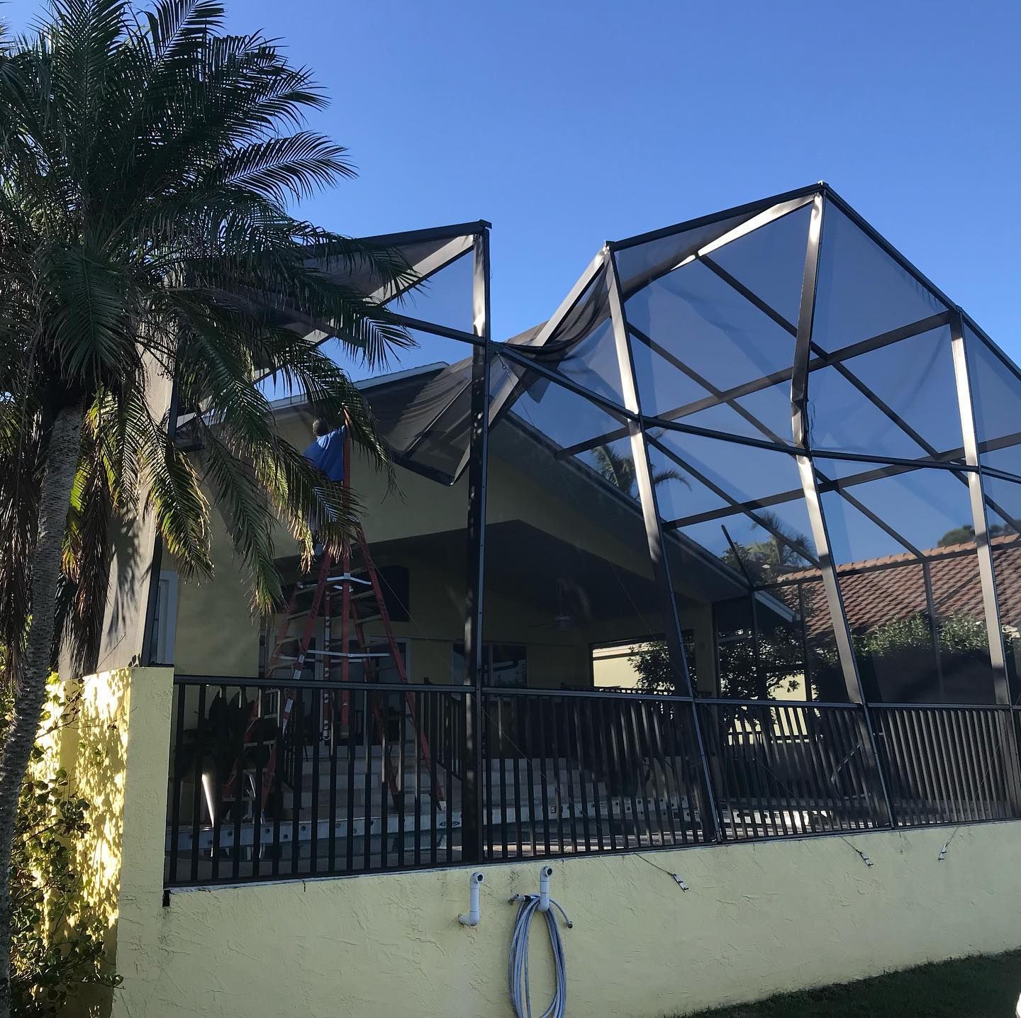 Black screened pool enclosure attached to a yellow house with a palm tree on the left.