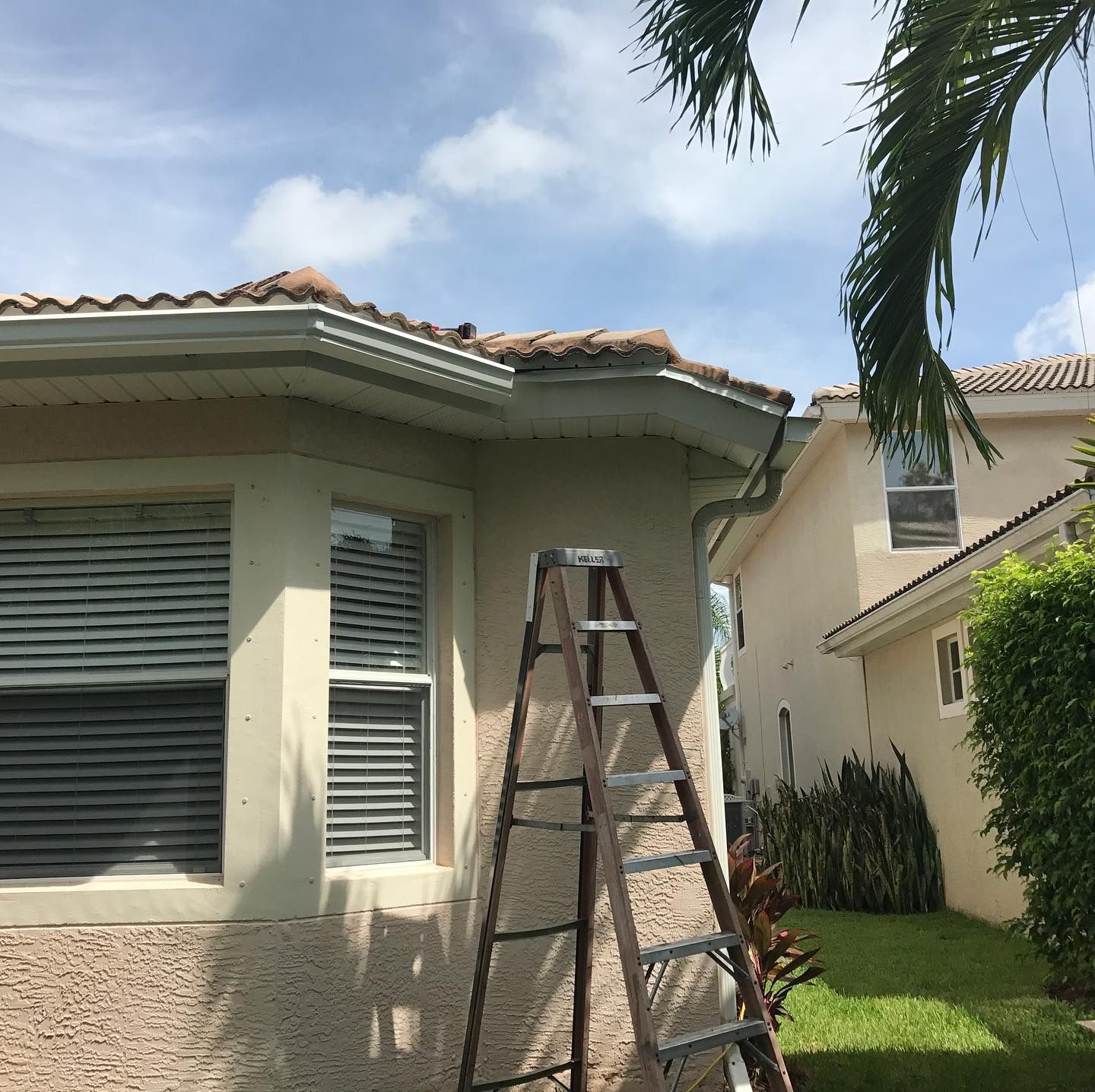 Ladder leaning against a house with gutters, blue sky, and palm tree.