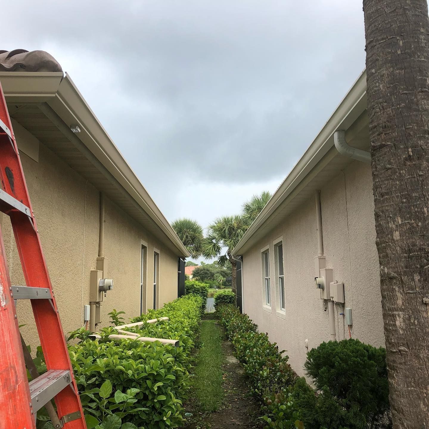 Two houses with gutters, narrow hedge, and cloudy sky. Ladder on left.