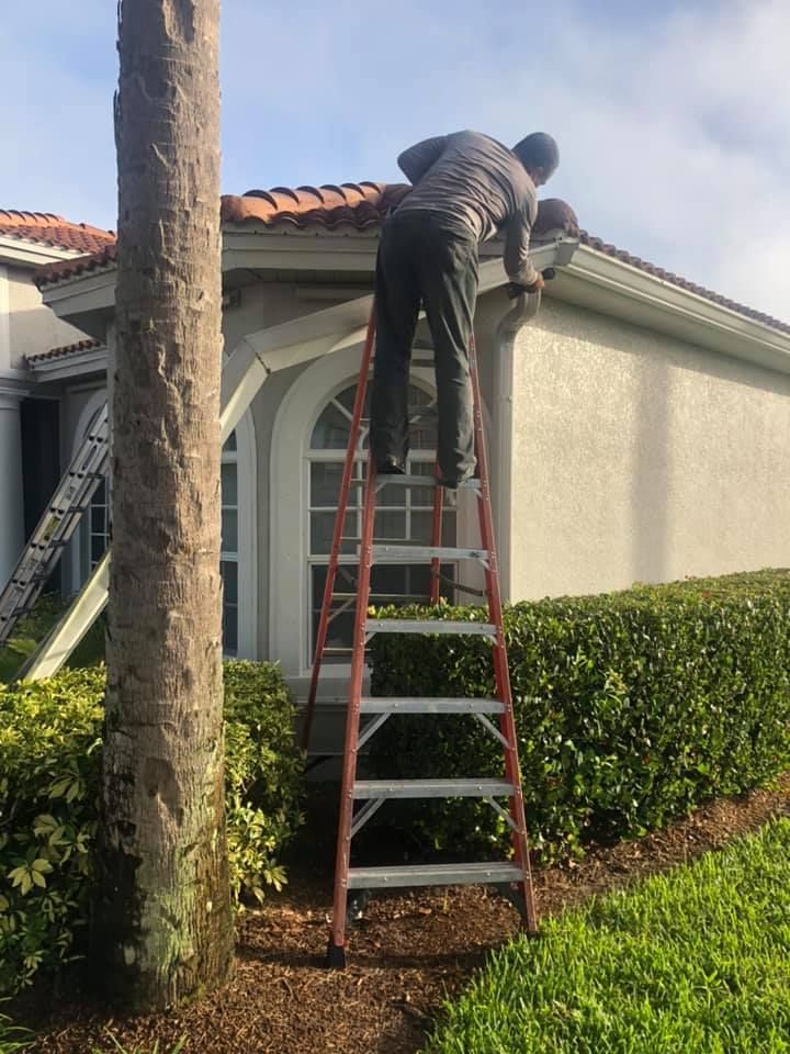 Person on ladder cleaning gutters of a house, sunny day.