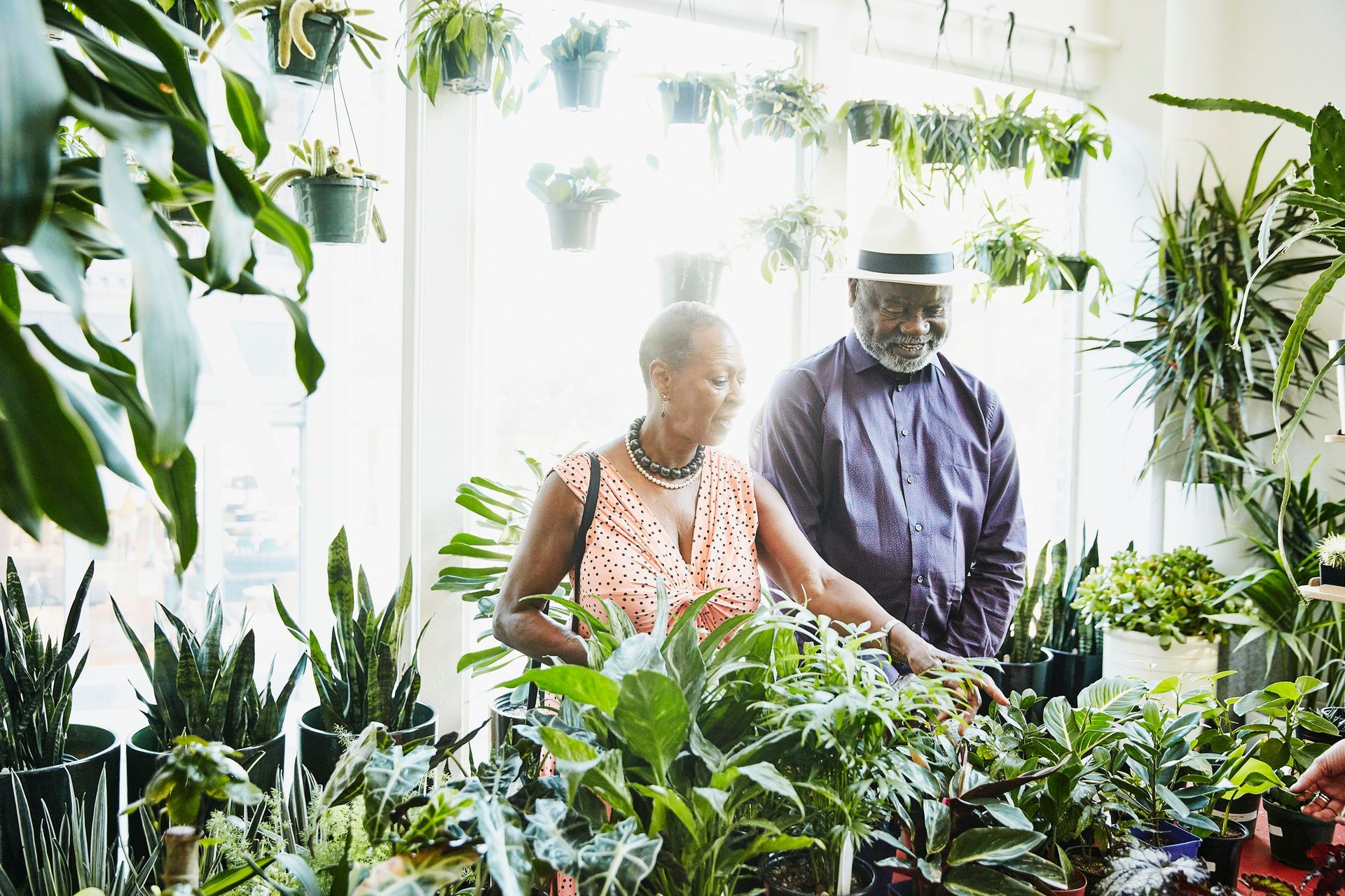 A man and a woman are looking at plants in a greenhouse.