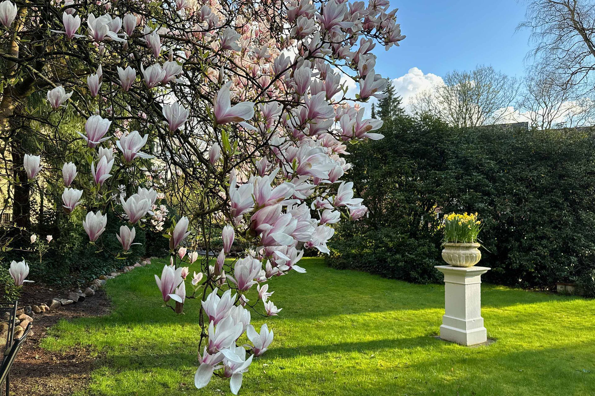 Der Garten des Boutique Hotel Rosengarten im schönen Alstertal von Hamburg