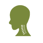 Chiropractor Soho, NYC