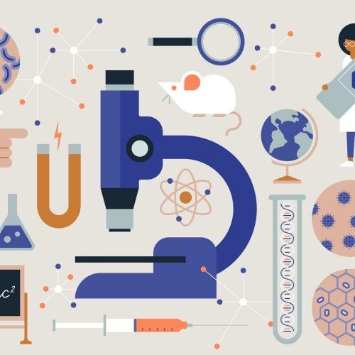 Combined Science (Primary)