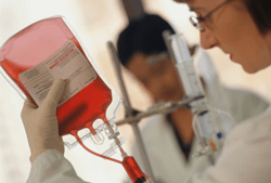 Servicios Hematológicos S.A. - BANCO DE SANGRE