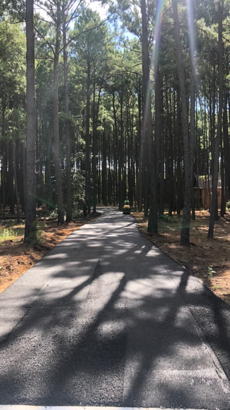 Paved road lined with tall trees, sunlight streaming through the canopy.