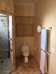 Bathroom with shower, toilet, and towel rack. Beige walls, tile floor, and wooden storage.