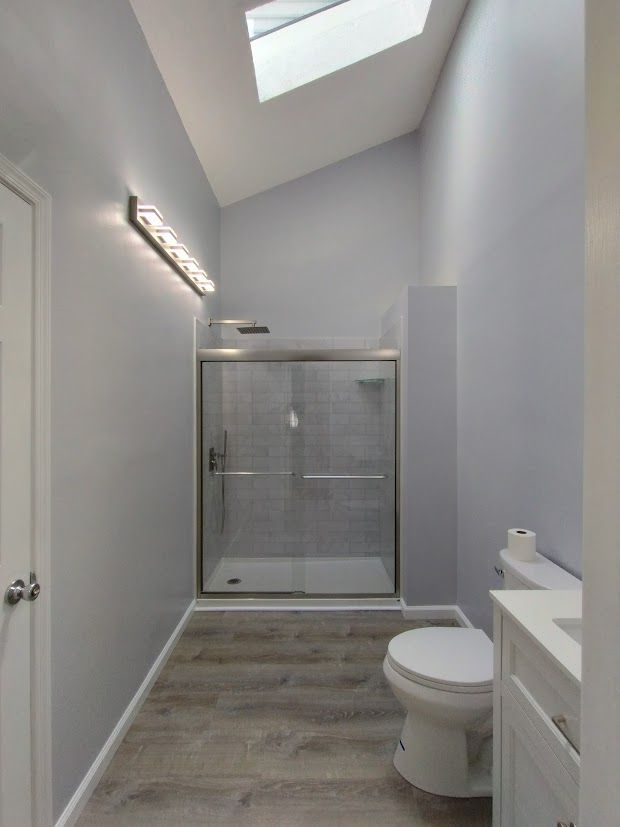 Bathroom with gray walls, a skylight, glass shower, and a white toilet and vanity.