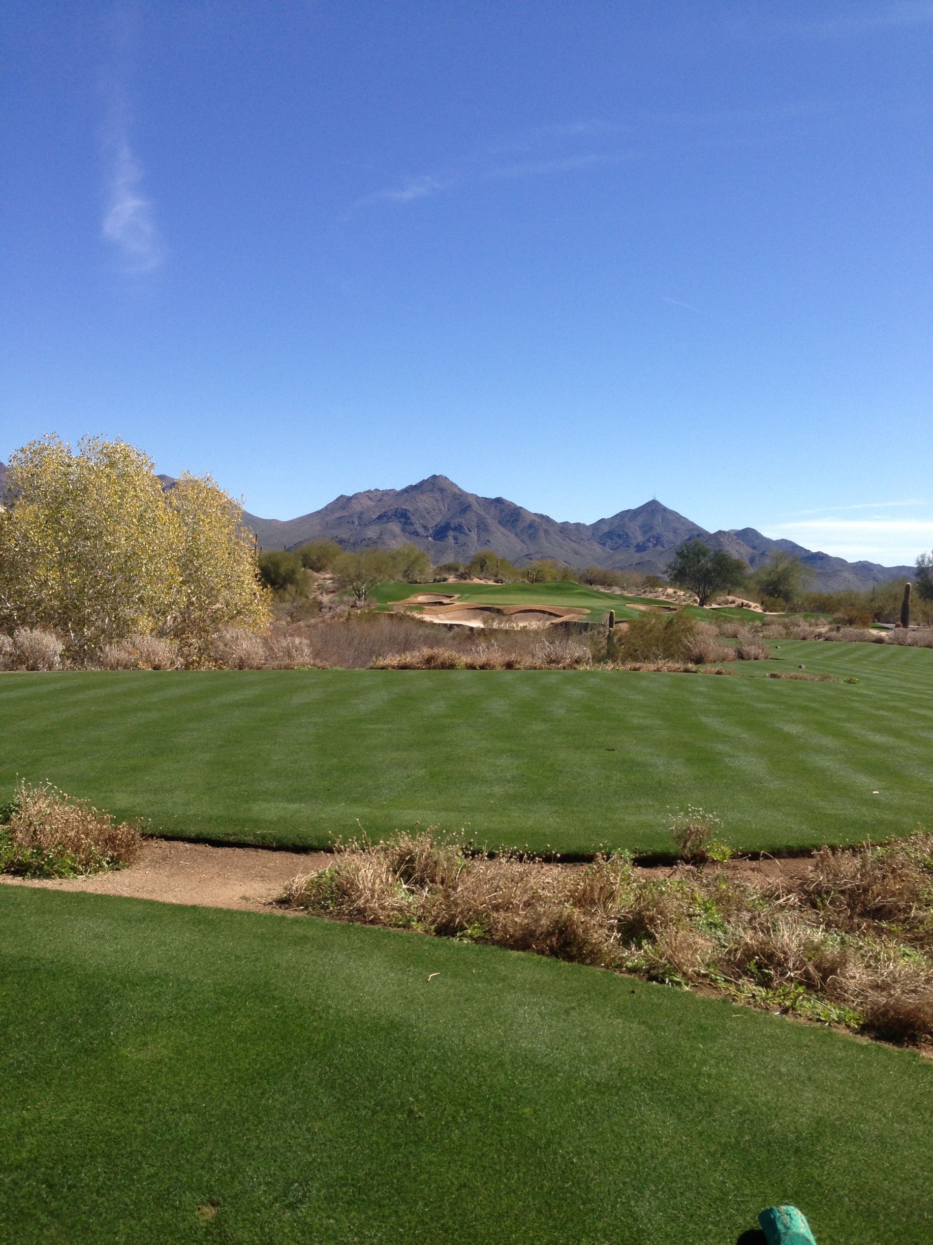 A sprinkler is spraying water on a lush green lawn.