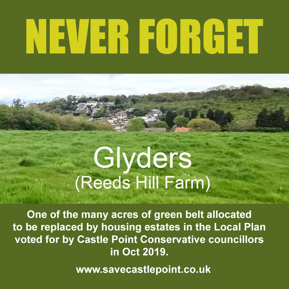 Save Castle Point from Ruin . NO building on Green Belt!