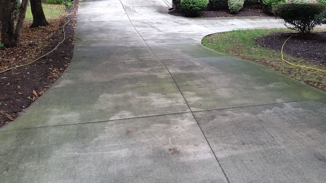 A weathered, grey concrete driveway with dark organic growth, bordered by trees and landscaping on both sides.
