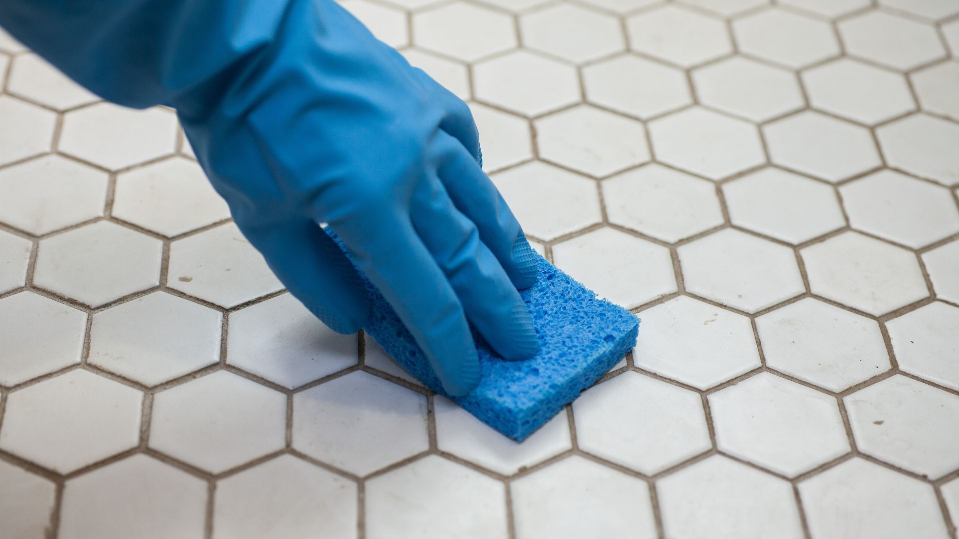 grout cleaning in Auburn al
