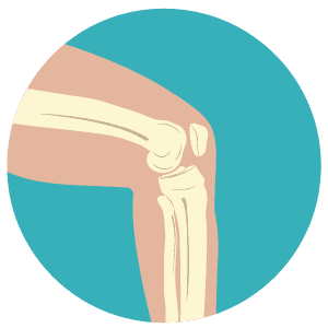 Icona ortopedica ginocchio