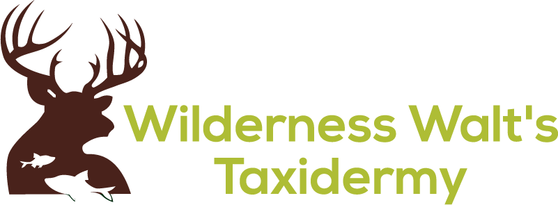 Wilderness Walt logo