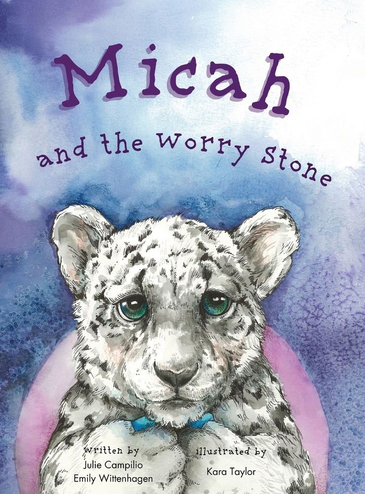 Micah & The Worry Stone, a co-authored children's book, is out!