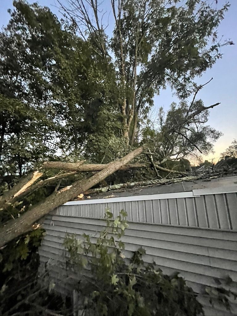 A tree that has fallen on top of a house.