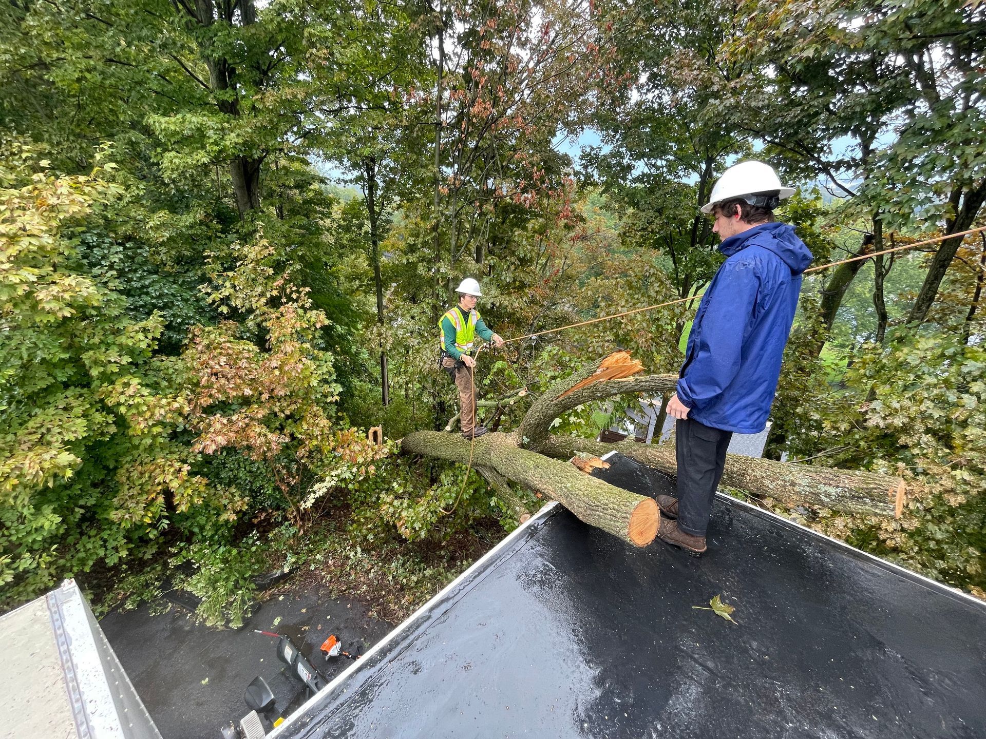 A man is standing on a roof next to a tree that has fallen on it.