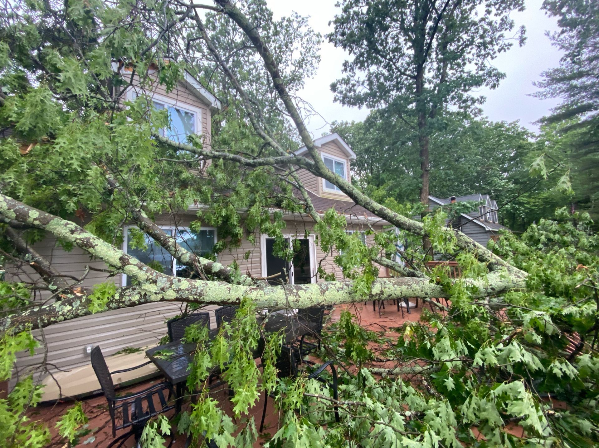 A tree has fallen on a house and a deck.