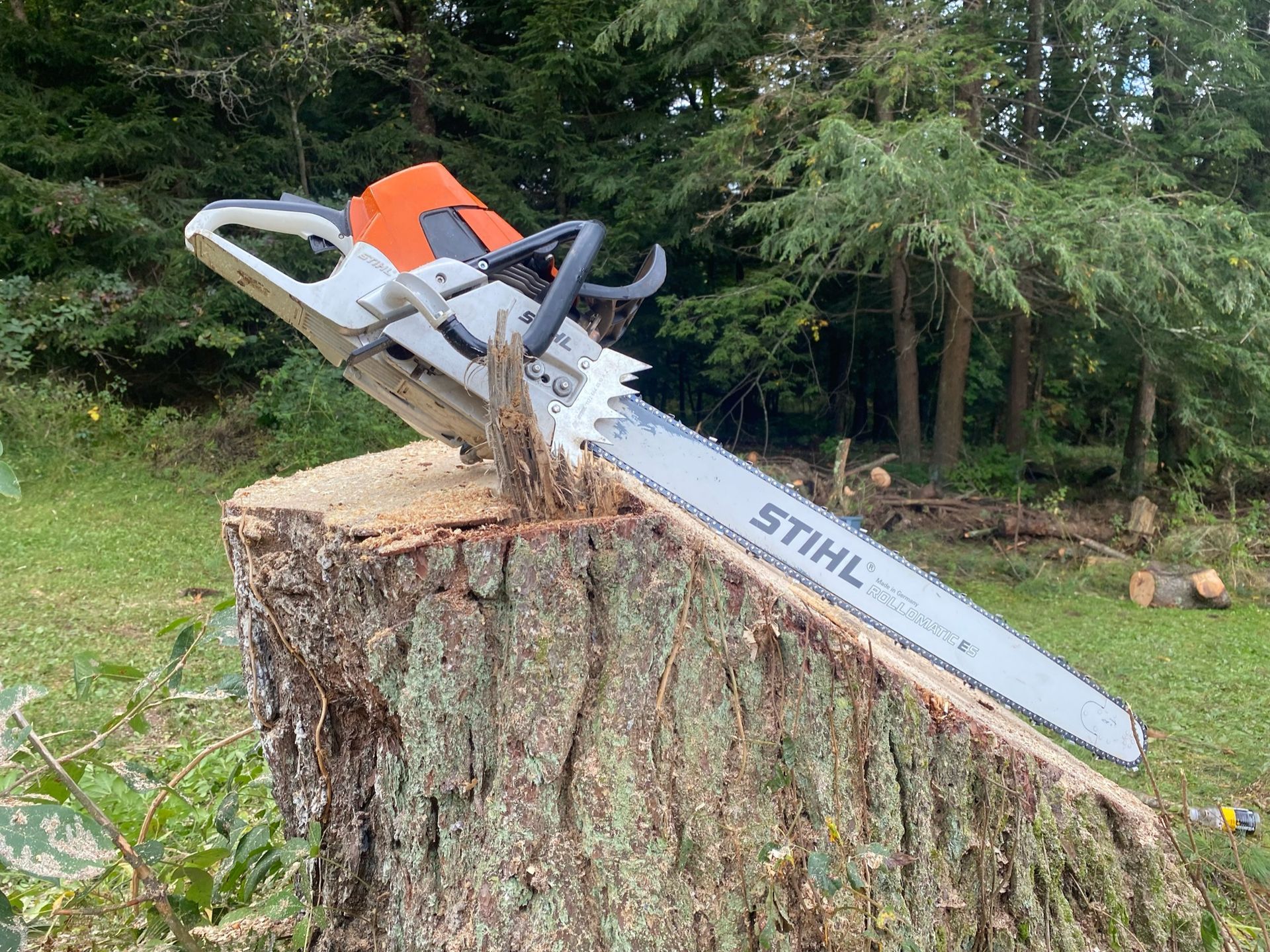 A chainsaw is sitting on top of a tree stump.