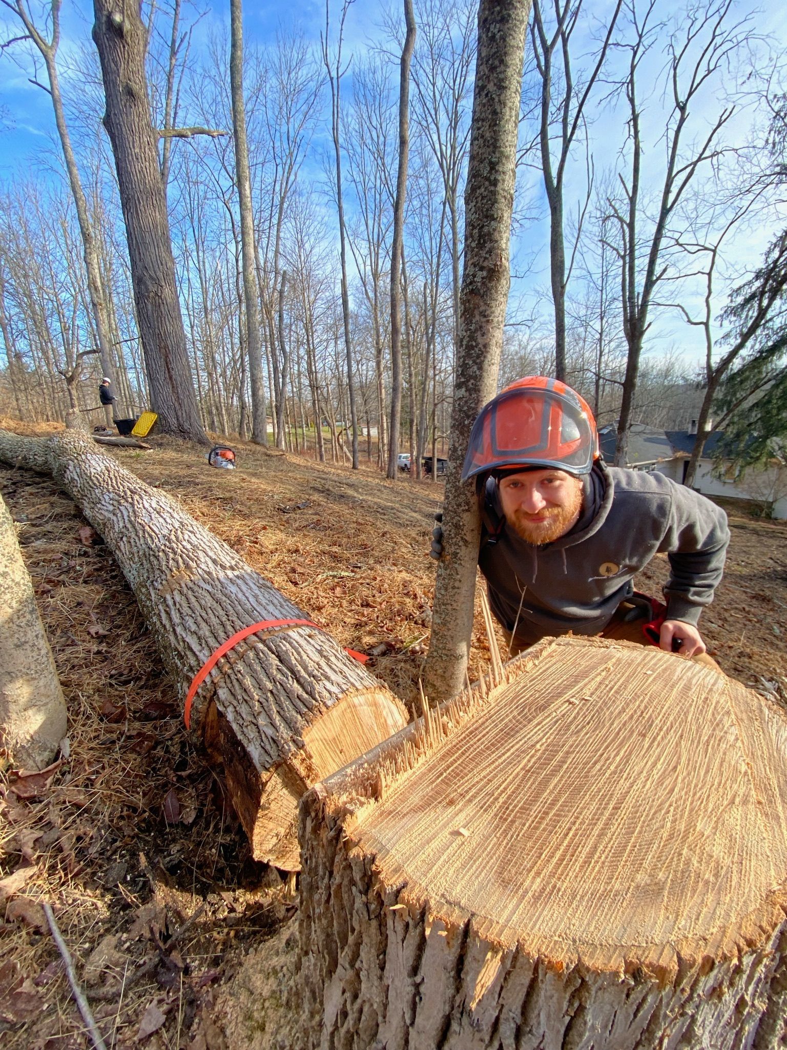 A man is standing next to a tree stump in the woods.