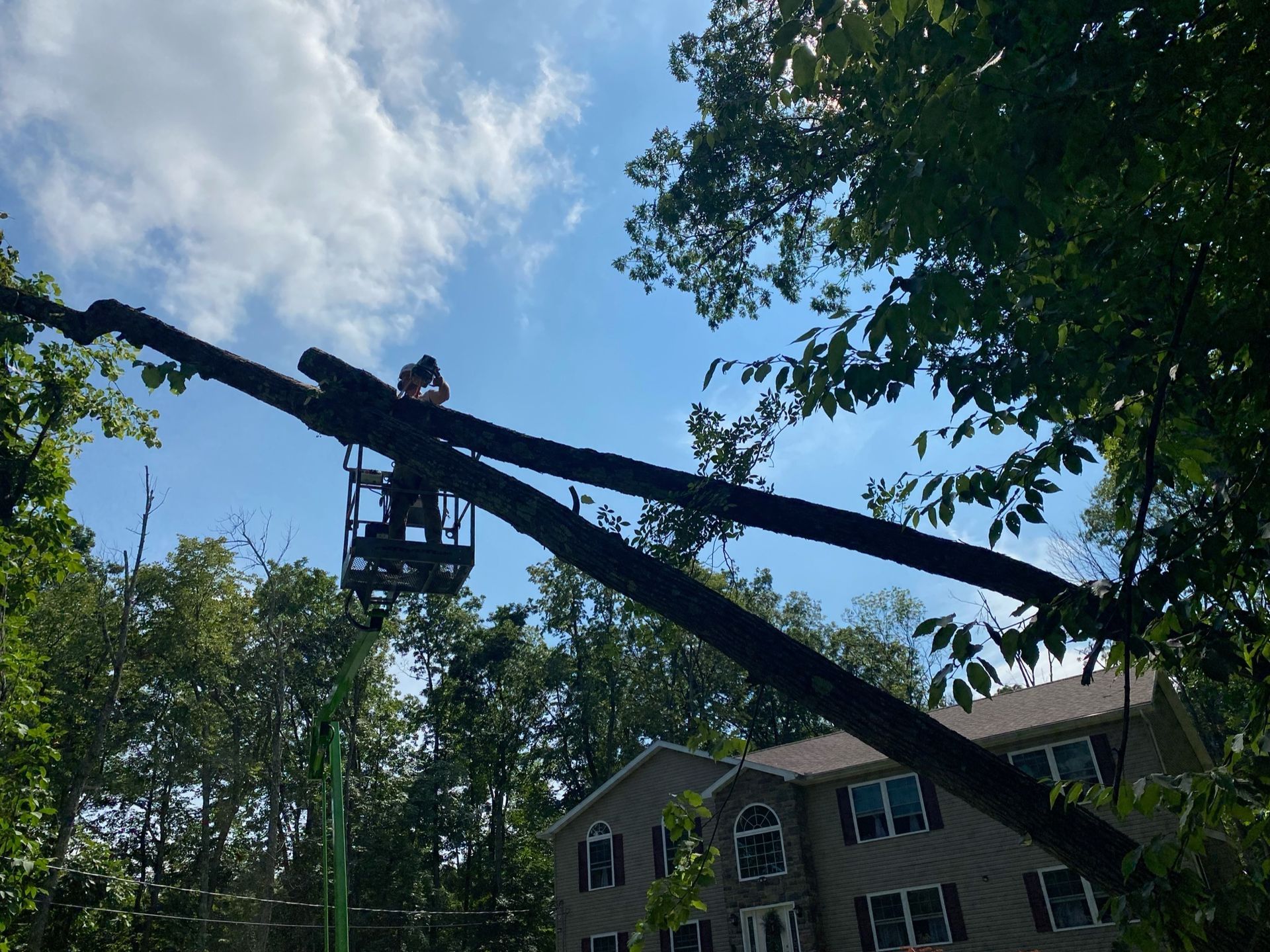 A man is cutting a tree with a crane in front of a house.