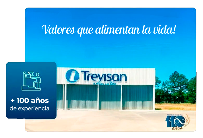 Um edifício trevisan com um céu azul ao fundo