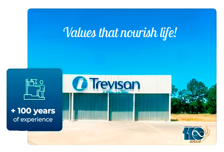 Um edifício trevisan com um céu azul ao fundo