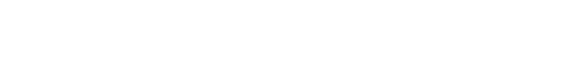 White Divider