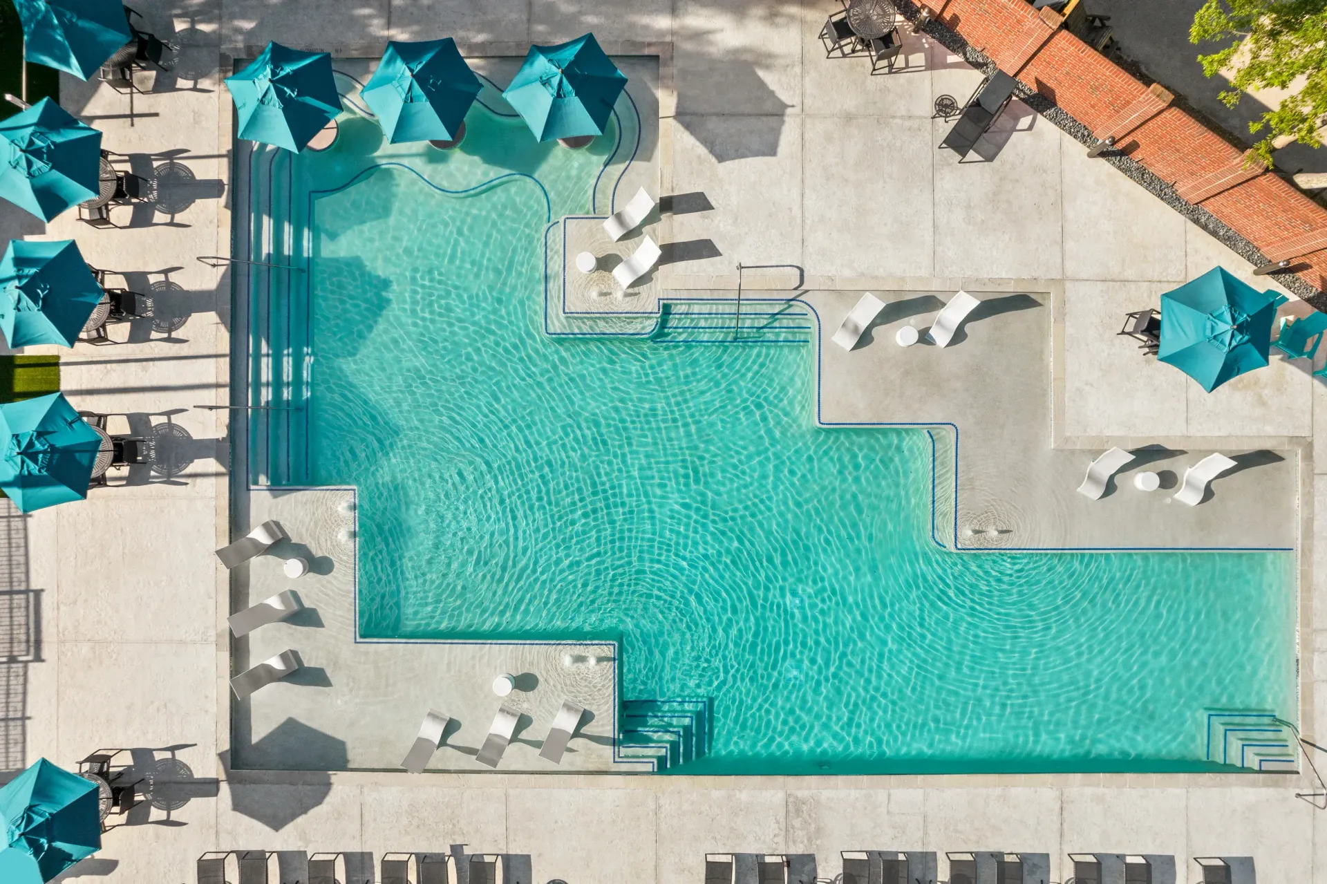 pet-policy-pet-friendly-apartments-in-midtown-houston