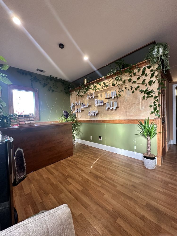 A living room with a wooden floor , a couch , and a plant.