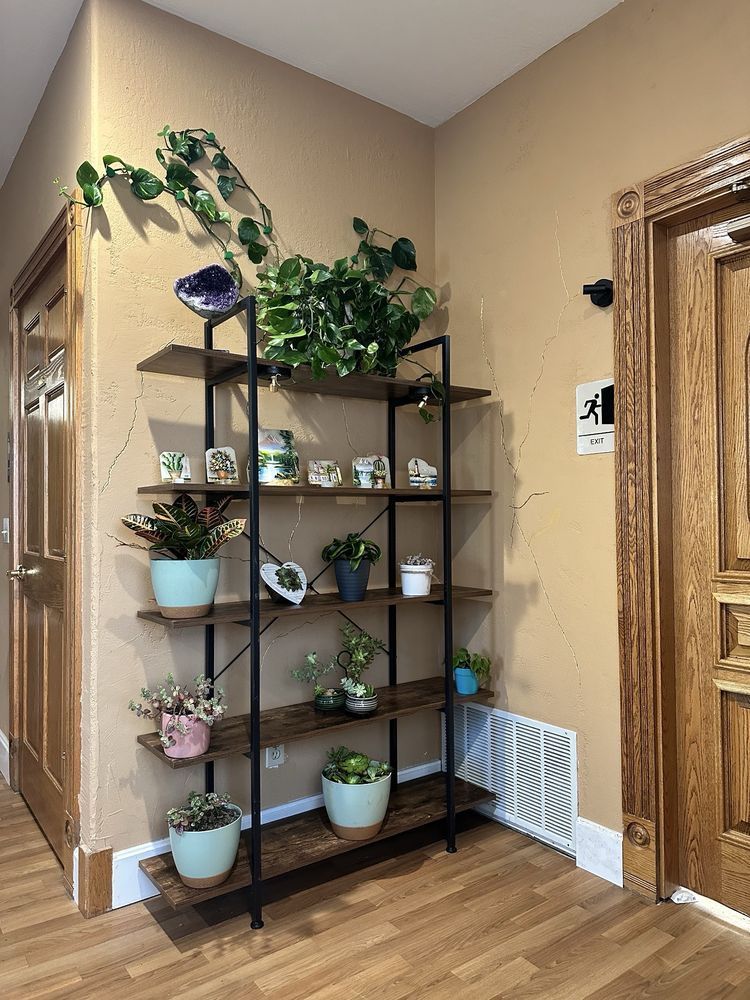 A shelf filled with potted plants in a hallway next to a door.