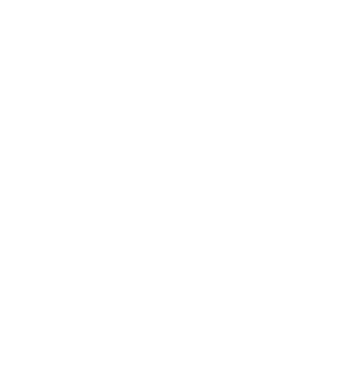 Triumph Apartments logo
