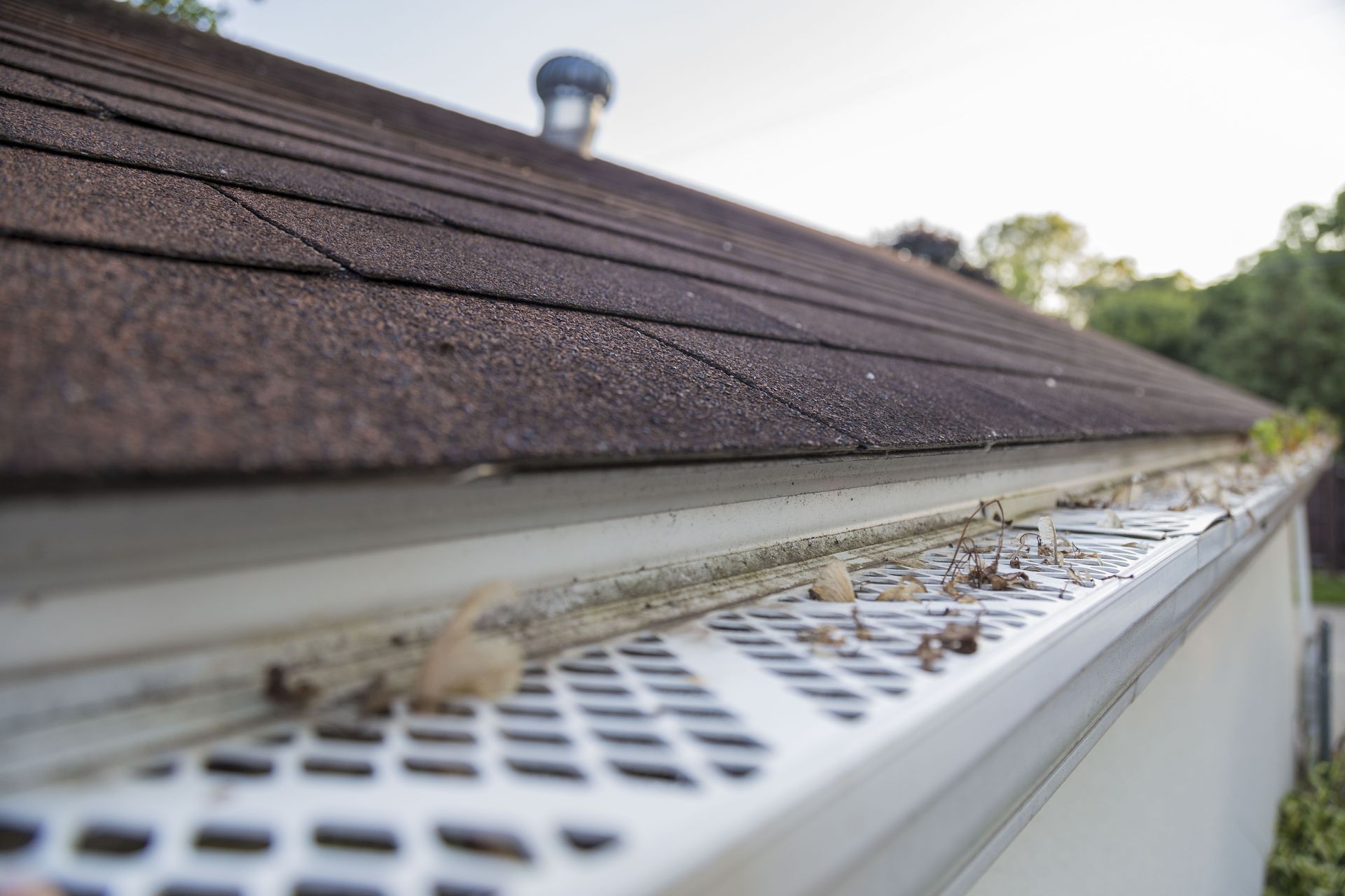A close-up view of a shingled roof edge with a white metal gutter guard covered in scattered debris.