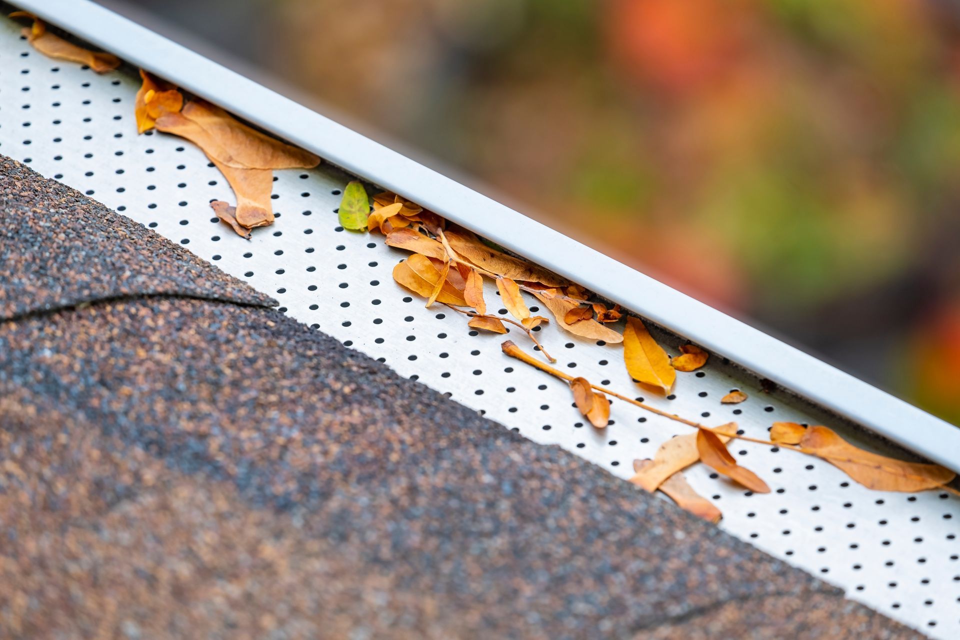 Gutter filled with leaves, partially covered by a metal screen, against a blurred autumn background.