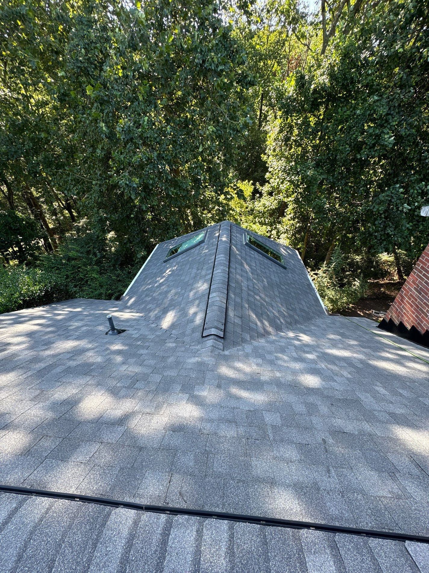 Gray shingled roof with two skylights, against a backdrop of green trees.