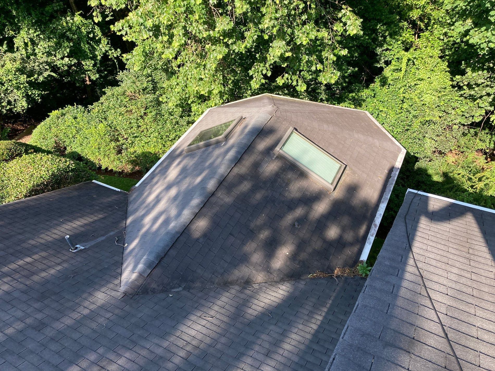 A dark, weathered roof with two skylights. Green trees in the background.
